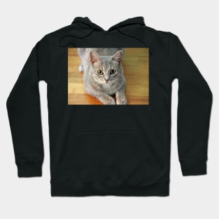 Hattie The Kitty Hoodie